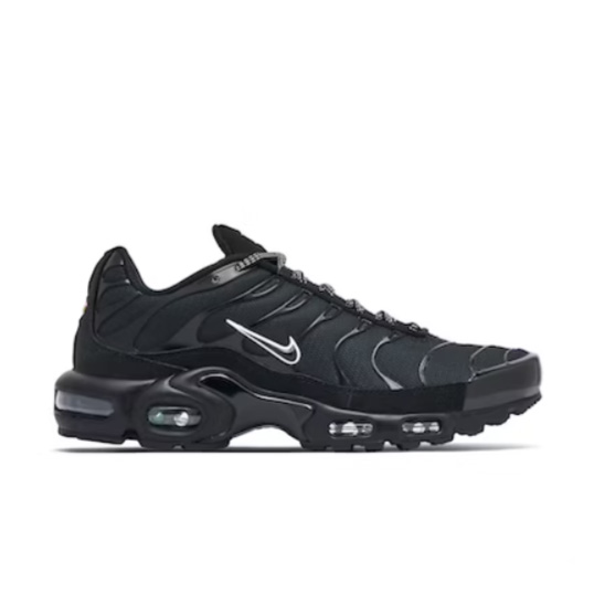 Кроссовки мужские  NIKE AIR MAX PLUS 604133-050