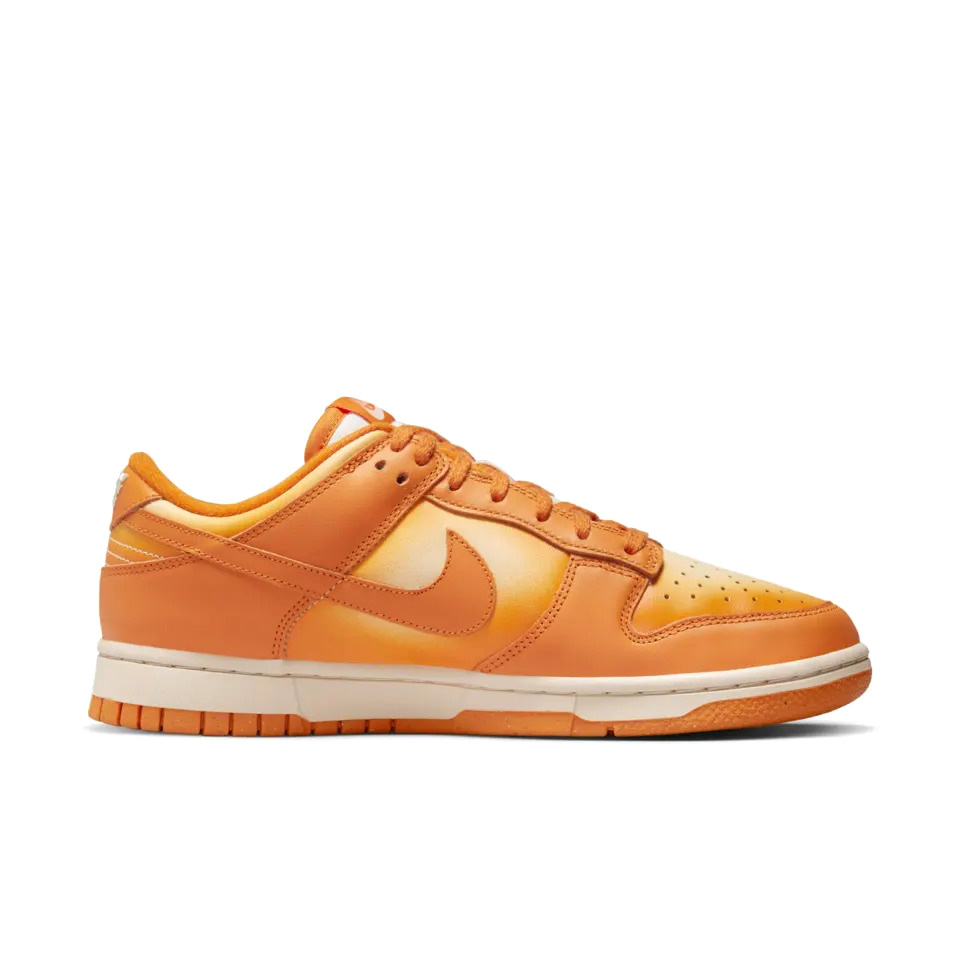 Кроссовки женские Nike Dunk Low DX2953-800