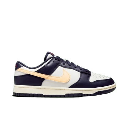 Кроссовки мужские Nike Dunk Low FV8106-181