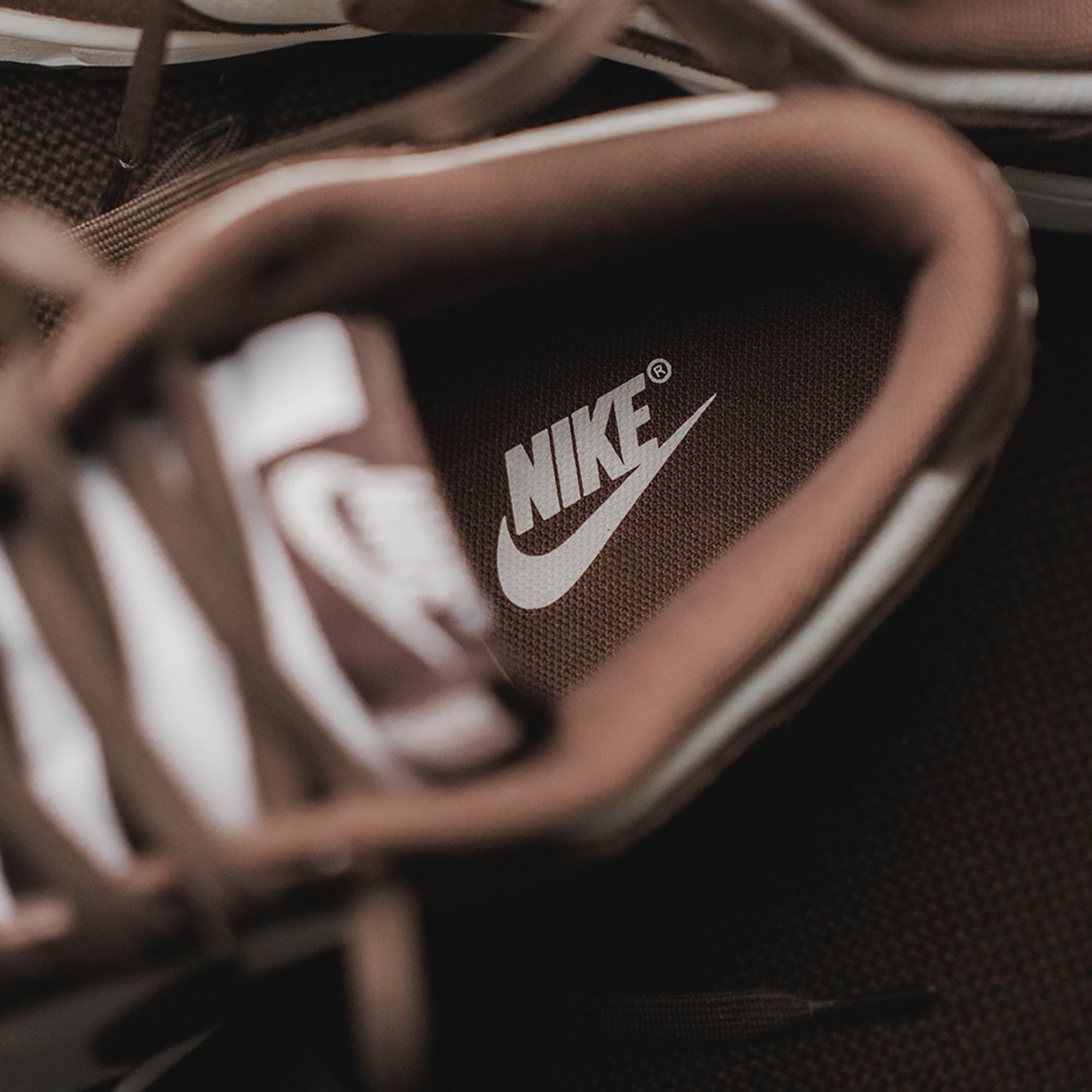 Кроссовки мужские Nike Dunk Low “Baroque Brown” FQ8249-104
