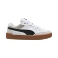 Кроссовки мужские Puma Park Lifestyle SK8 400497-01