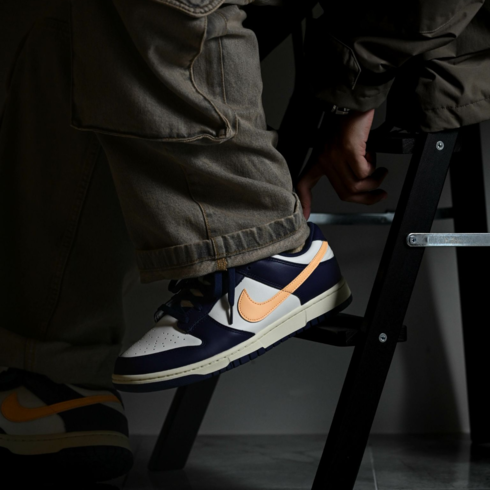 Кроссовки мужские Nike Dunk Low 'From Nike To You'  FV8106-181