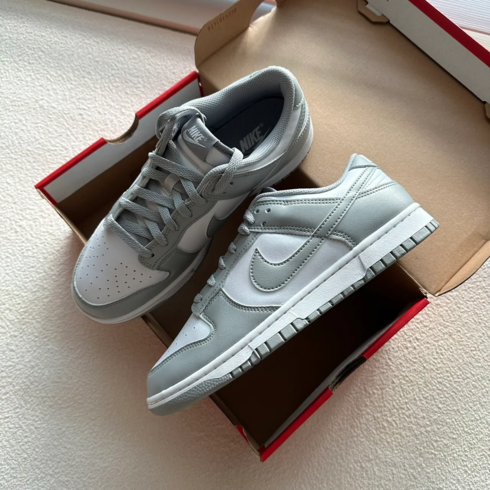 Кроссовки мужские Nike Dunk Low Retro HF5441-105