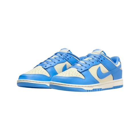 Кроссовки мужские Nike Dunk Low Retro DV0833-113