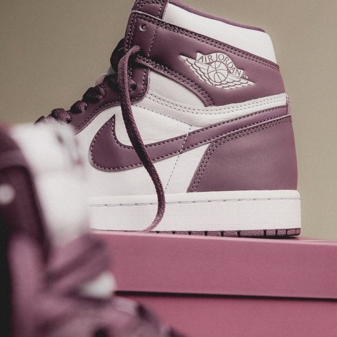 Кроссовки мужские Nike Air Jordan 1 High OG Mauve DZ5485-105