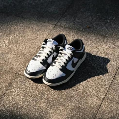 Кроссовки мужские Nike Dunk Low 