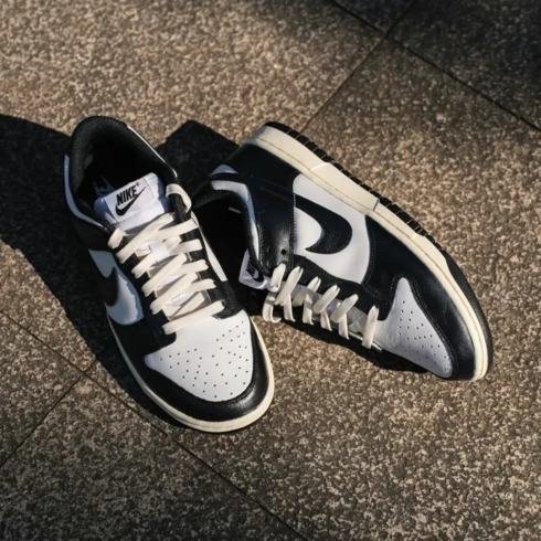 Кроссовки мужские Nike Dunk Low 