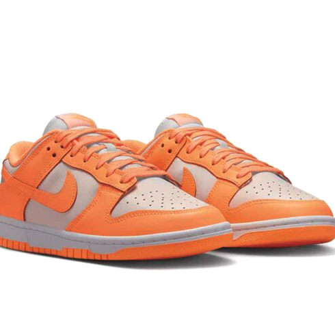 Кроссовки женские Nike Dunk Low DD1503-801