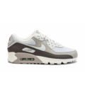 Кроссовки мужские Nike Air Max 90 DZ3522-003